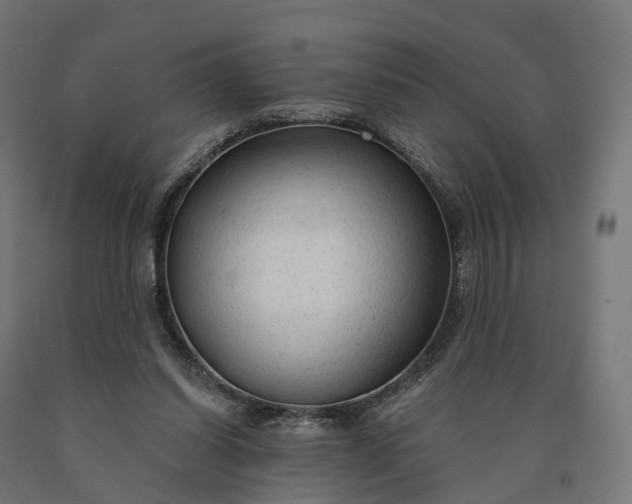 X0000090770254200708031659