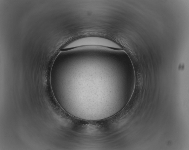 X0000090770255200708031659