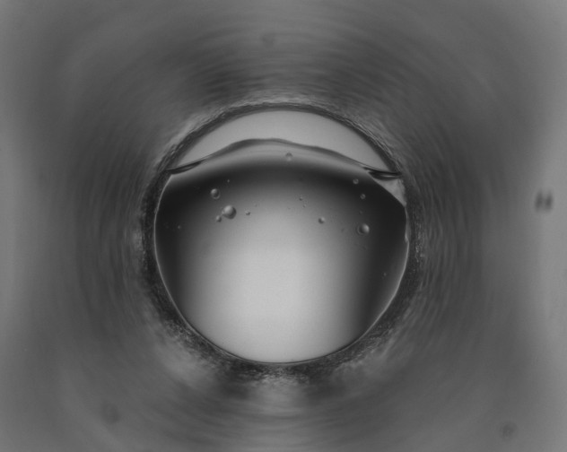 X0000090770256200708031659