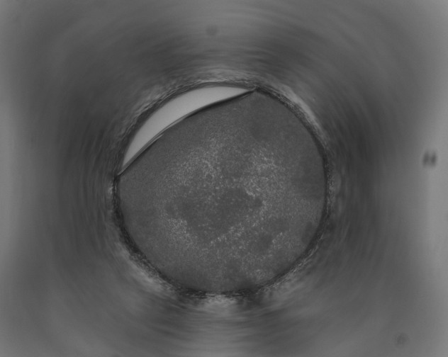 X0000090770257200708031659