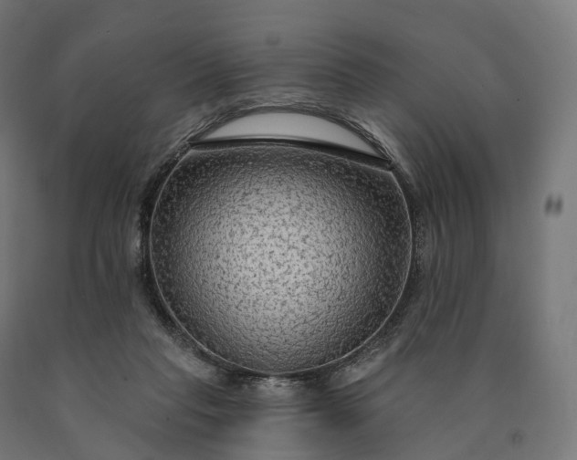 X0000090770261200708031659