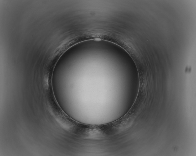X0000090770262200708031659