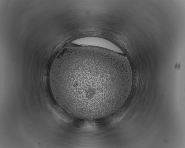 X0000090770263200708031659