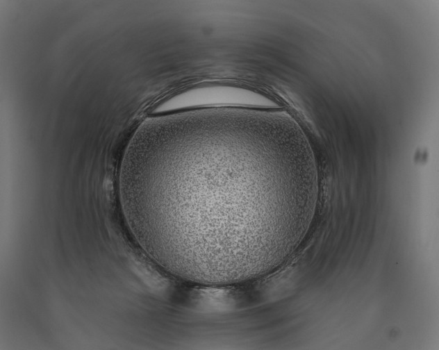 X0000090770265200708031659