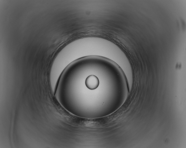 X0000090770268200708031659