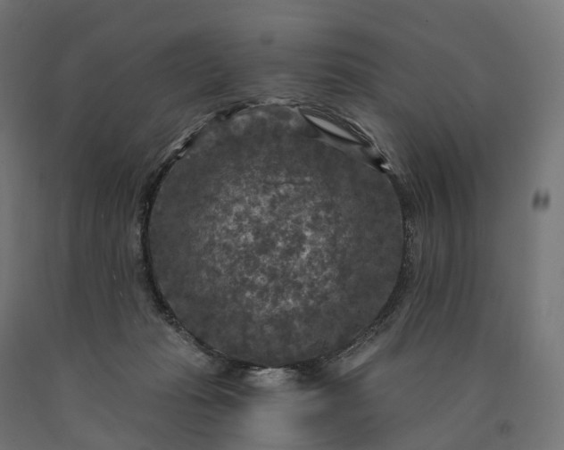 X0000090770269200708031659
