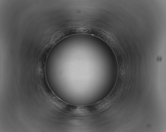 X0000090770270200708031659