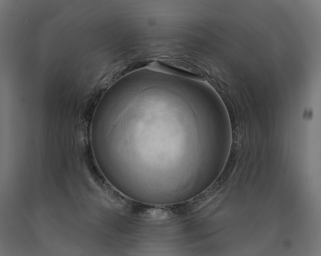 X0000090770272200708031659