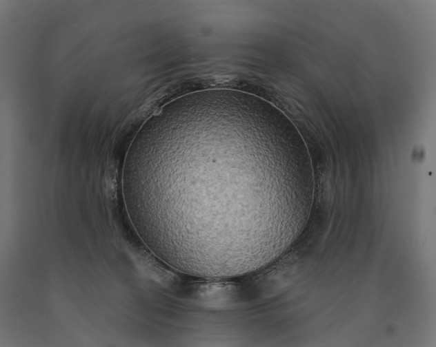 X0000090770274200708031659
