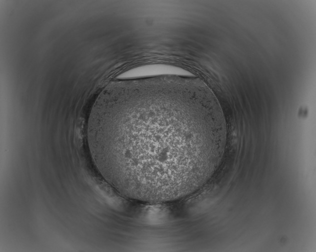 X0000090770275200708031659
