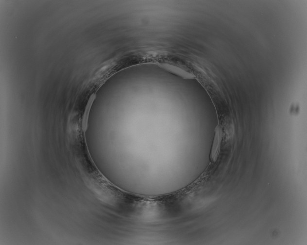 X0000090770276200708031659