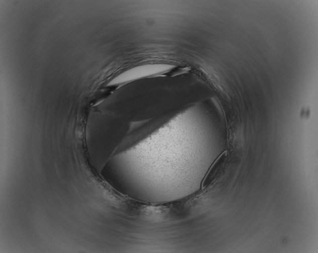 X0000090770277200708031659