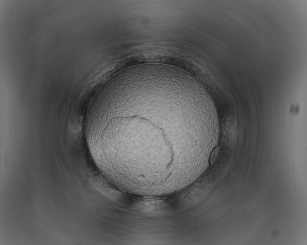 X0000090770278200708031659