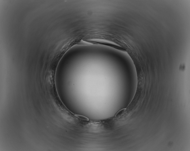 X0000090770280200708031659