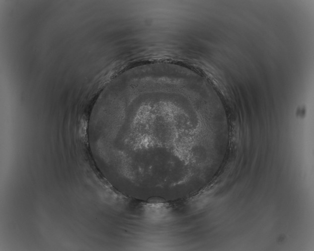 X0000090770281200708031659