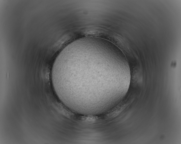X0000090770282200708031659