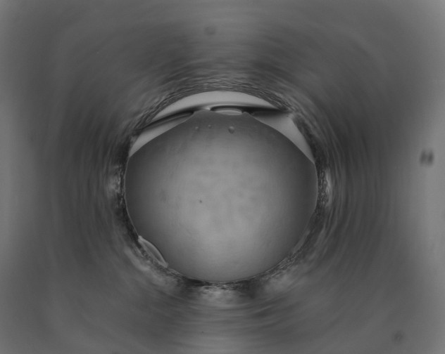X0000090770284200708031659