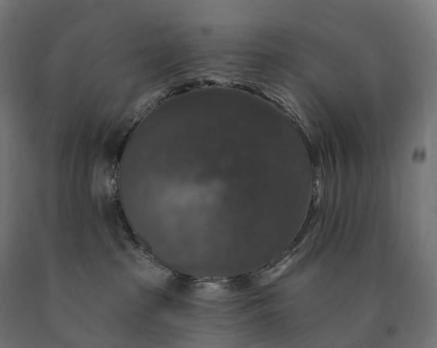 X0000090770285200708031659