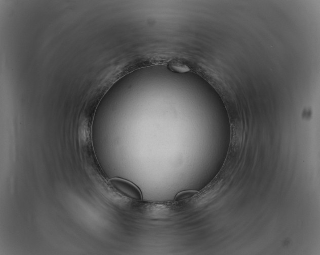 X0000090770287200708031659