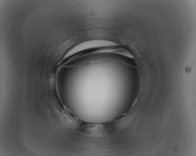 X0000090770288200708031659