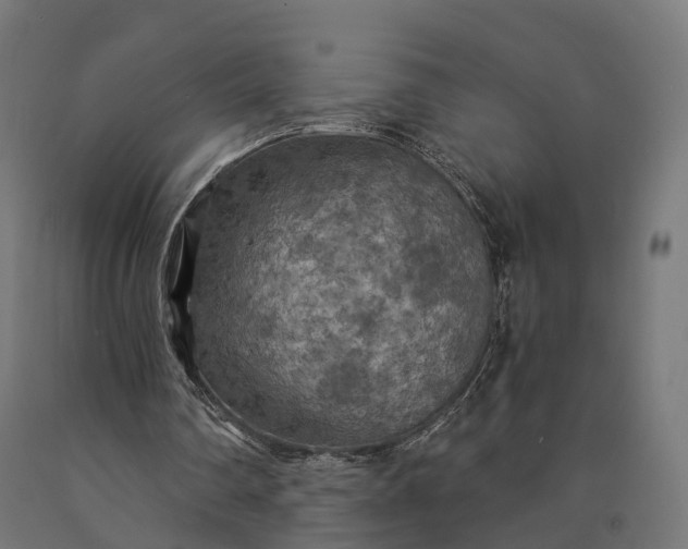 X0000090770290200708031659