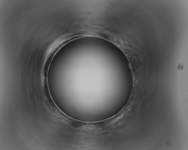 X0000090770294200708031658