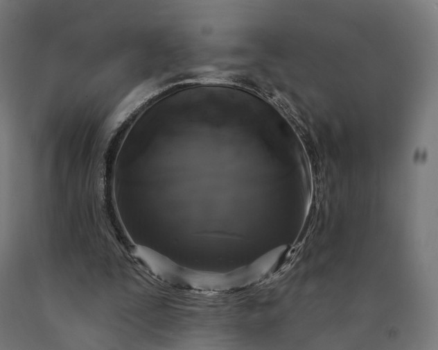 X0000090770295200708031658