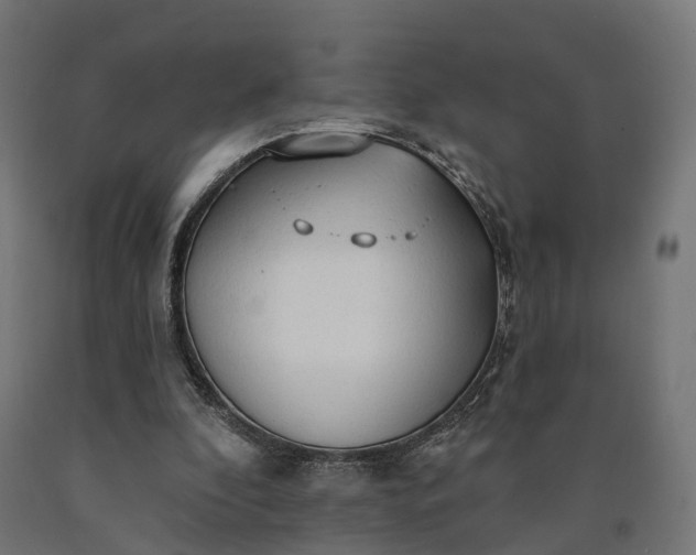 X0000090770296200708031658