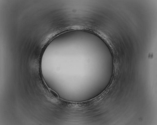X0000090770297200708031658