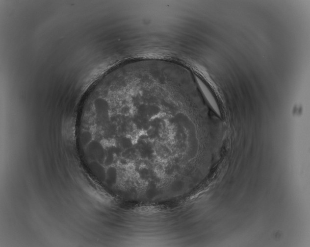 X0000090770299200708031658