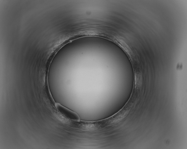 X0000090770301200708031658