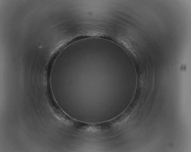 X0000090770303200708031658