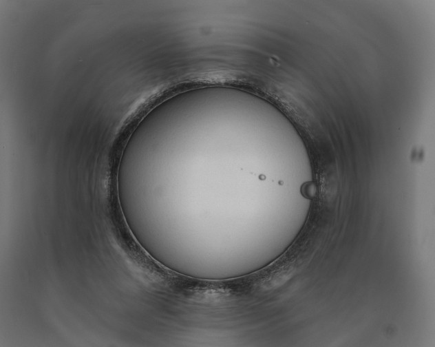 X0000090770304200708031658