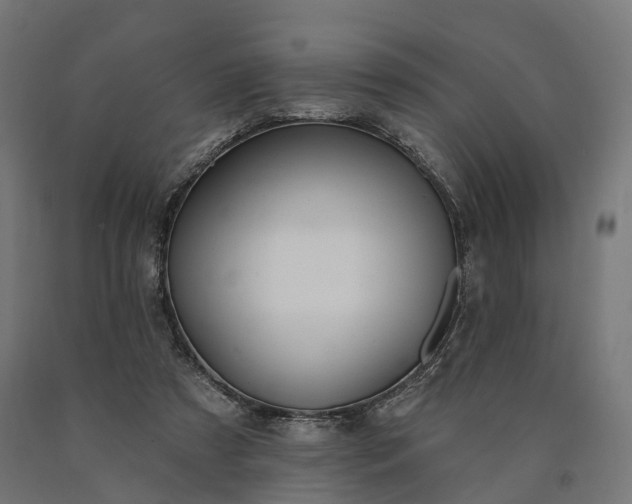 X0000090770305200708031658
