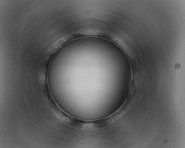 X0000090770309200708031658
