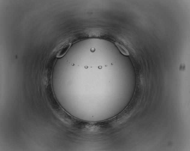 X0000090770311200708031658
