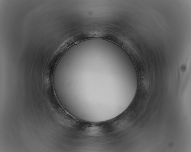 X0000090770312200708031658