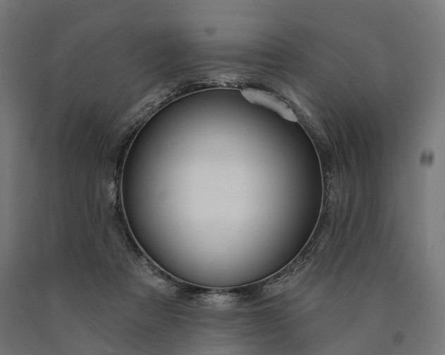 X0000090770313200708031658