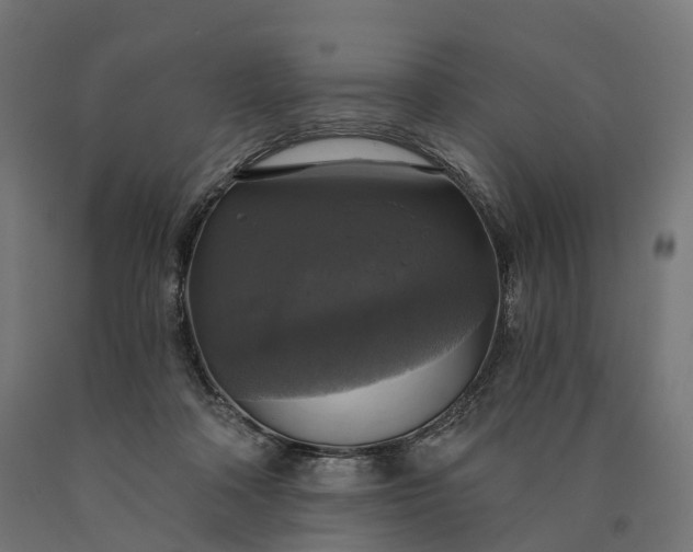 X0000090770314200708031658