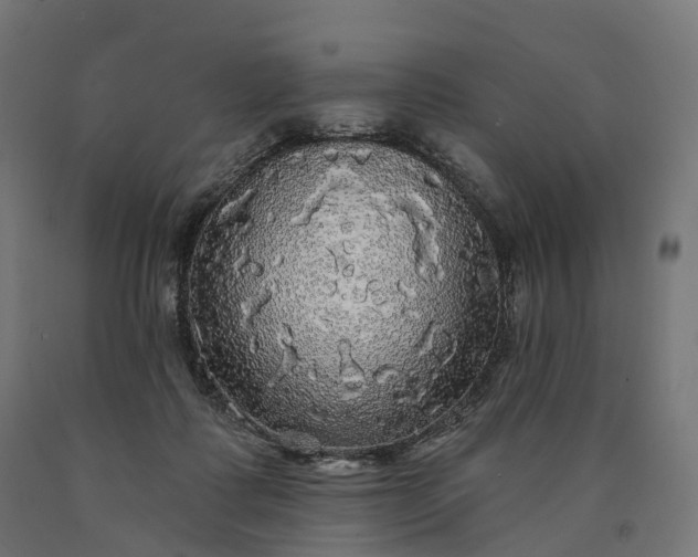 X0000090770315200708031658