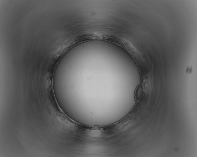 X0000090770318200708031658