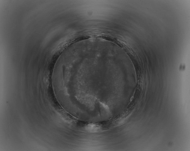 X0000090770319200708031658