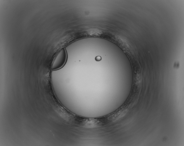 X0000090770321200708031658