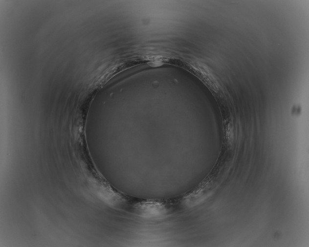X0000090770322200708031658