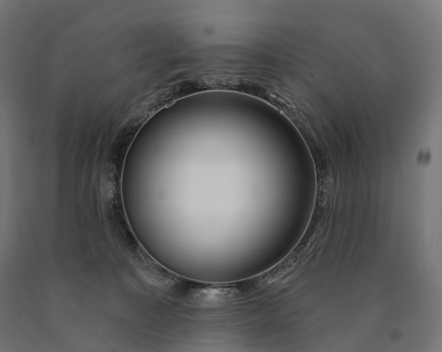 X0000090770323200708031658