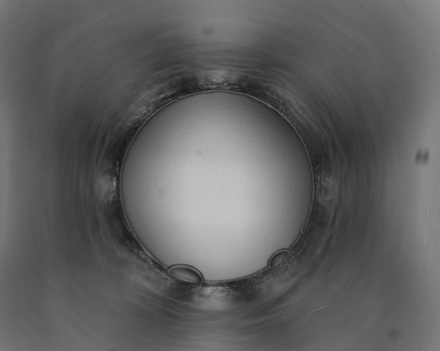 X0000090770324200708031658