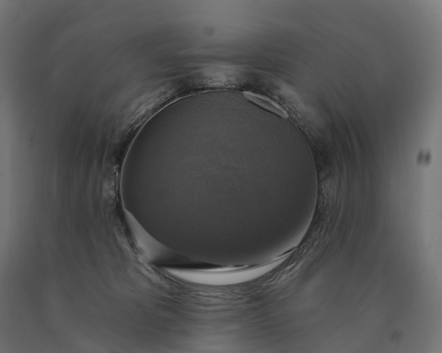X0000090770325200708031658