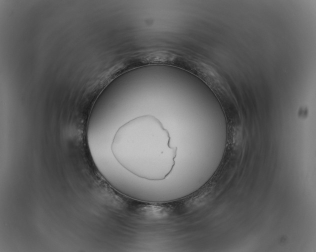 X0000090770326200708031658