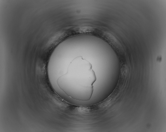 X0000090770327200708031658