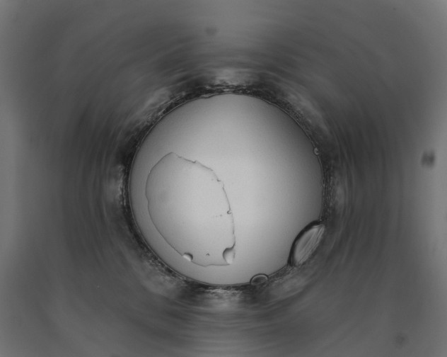 X0000090770328200708031658